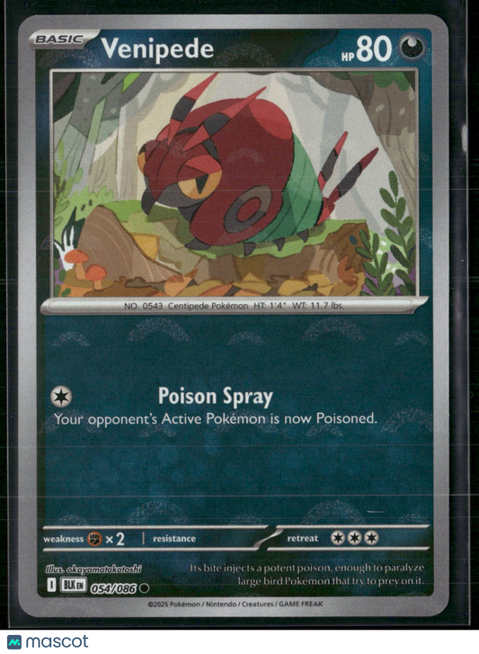 Venipede #54/86 2025 Scarlet & Violet Black Bolt Holo Poke Ball Pattern