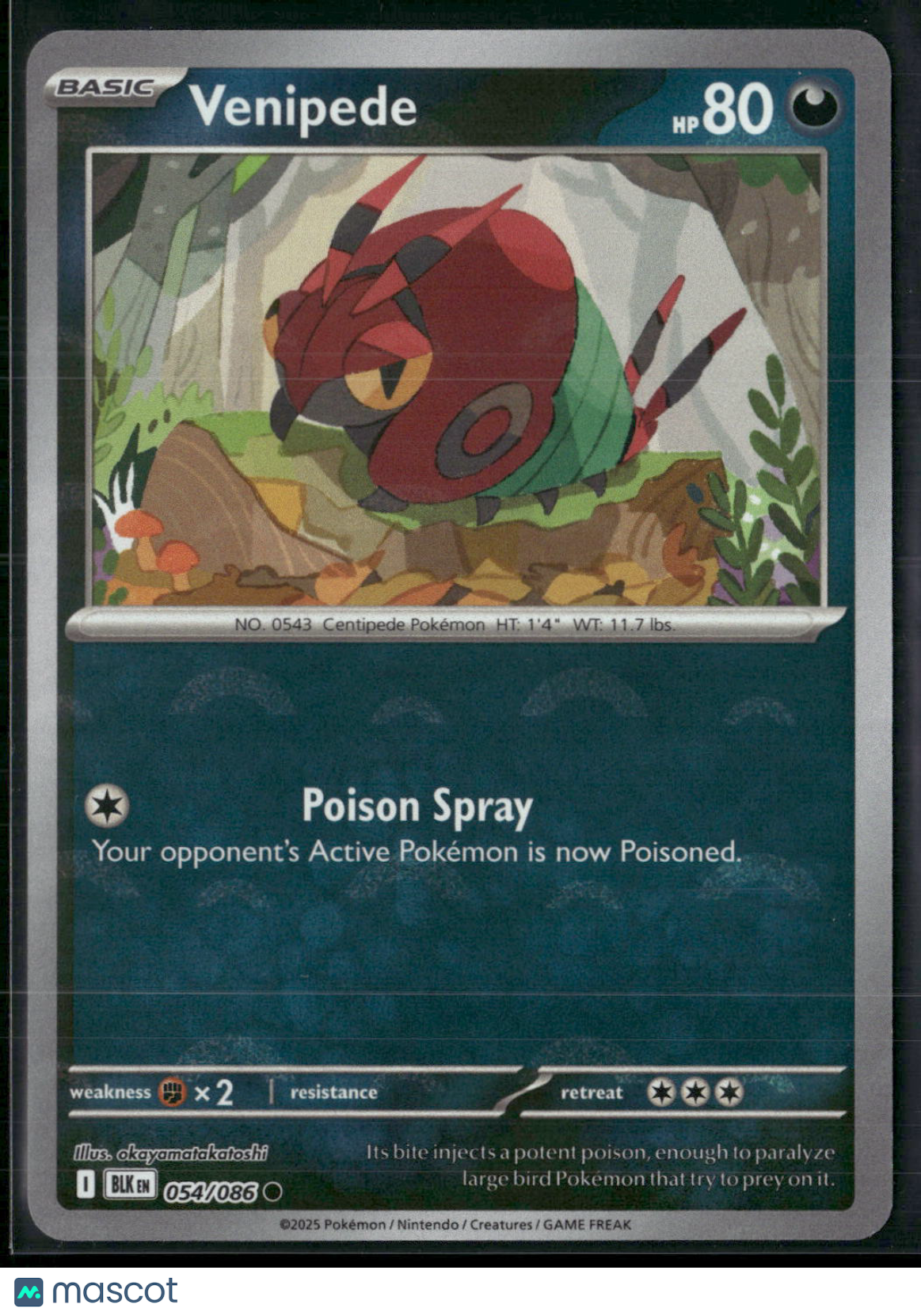 Venipede #54/86 2025 Scarlet & Violet Black Bolt Holo Poke Ball Pattern