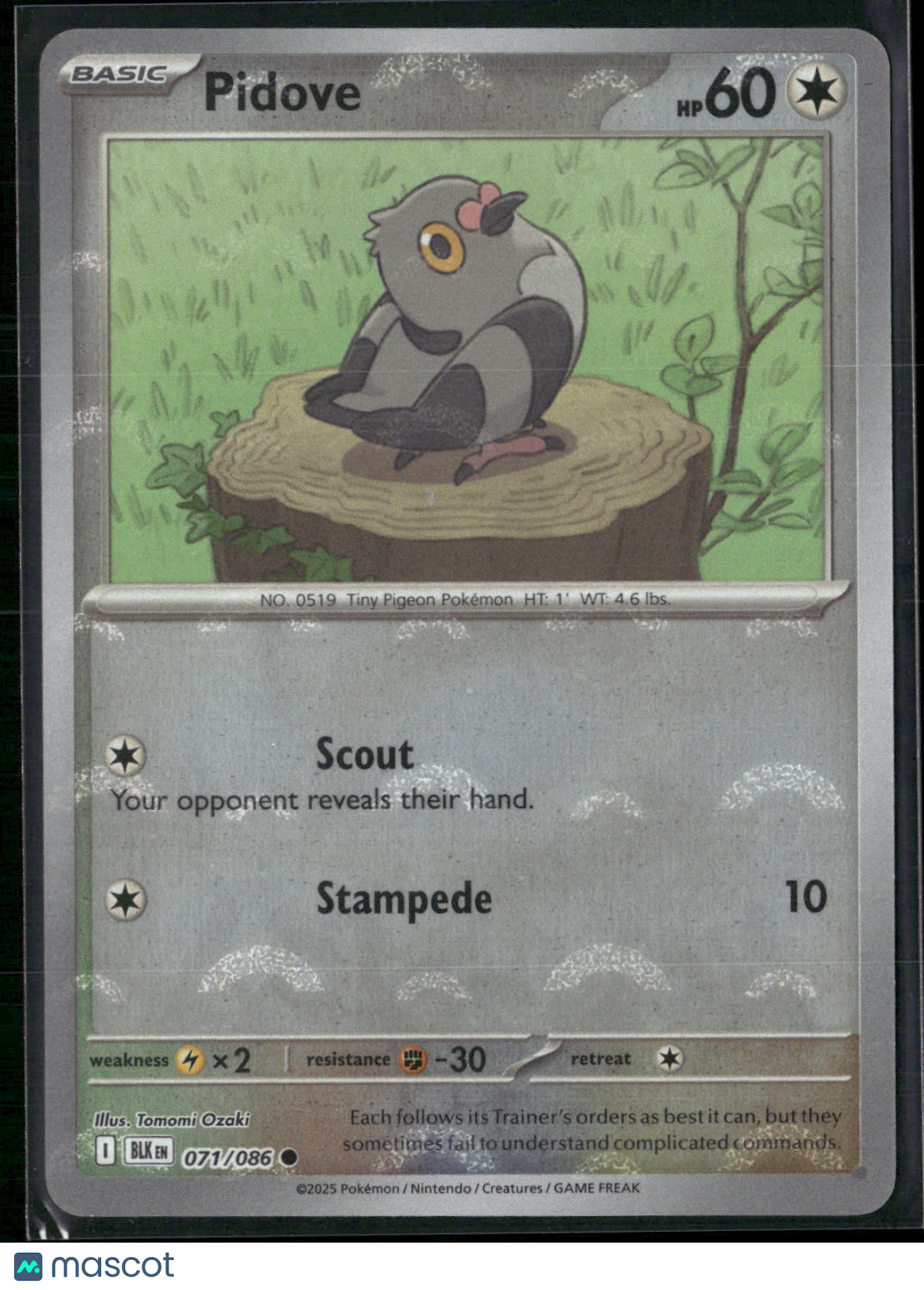 Pidove #71/86 2025 Scarlet & Violet Black Bolt Holo Poke Ball Pattern
