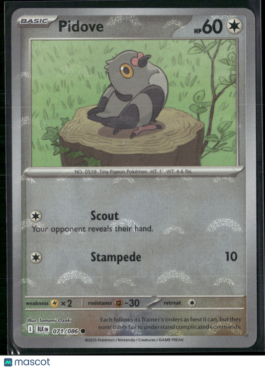 Pidove #71/86 2025 Scarlet & Violet Black Bolt Holo Poke Ball Pattern
