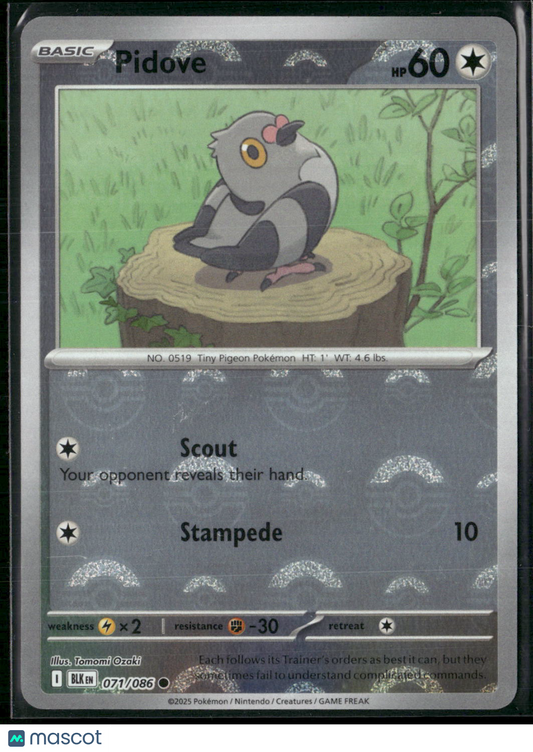 Pidove #71/86 2025 Scarlet & Violet Black Bolt Holo Poke Ball Pattern