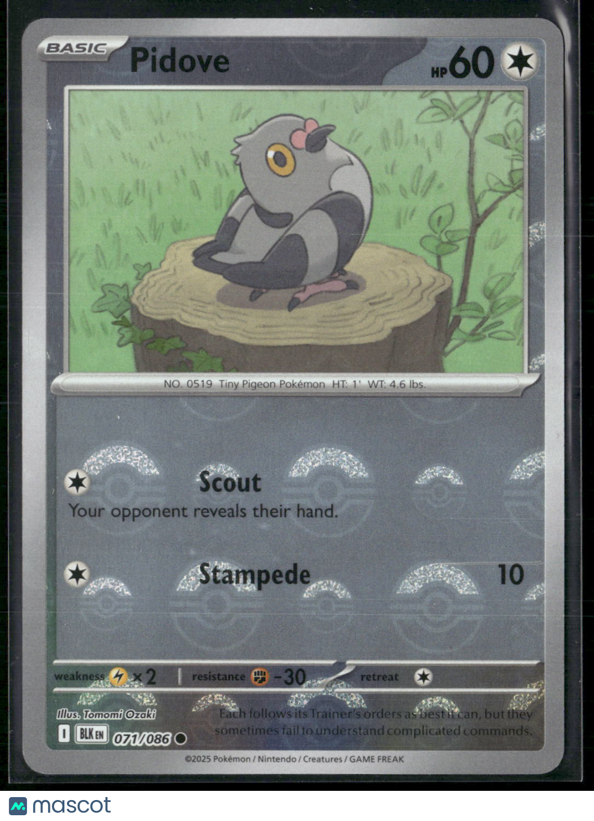Pidove #71/86 2025 Scarlet & Violet Black Bolt Holo Poke Ball Pattern