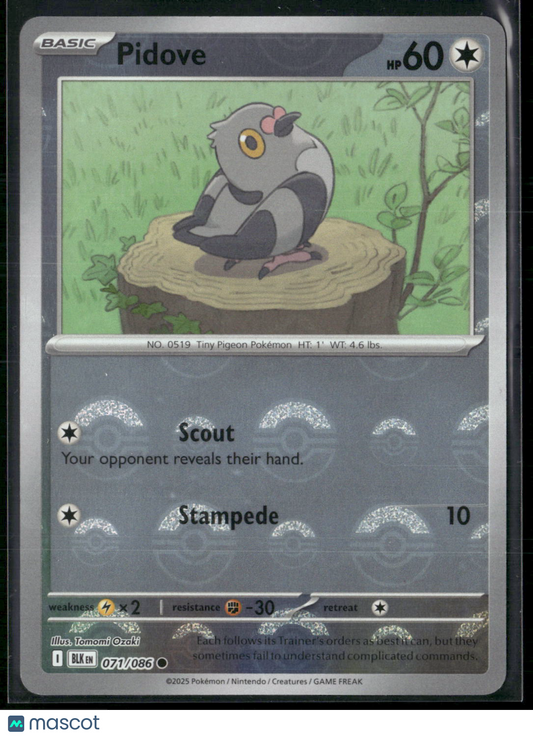 Pidove #71/86 2025 Scarlet & Violet Black Bolt Holo Poke Ball Pattern