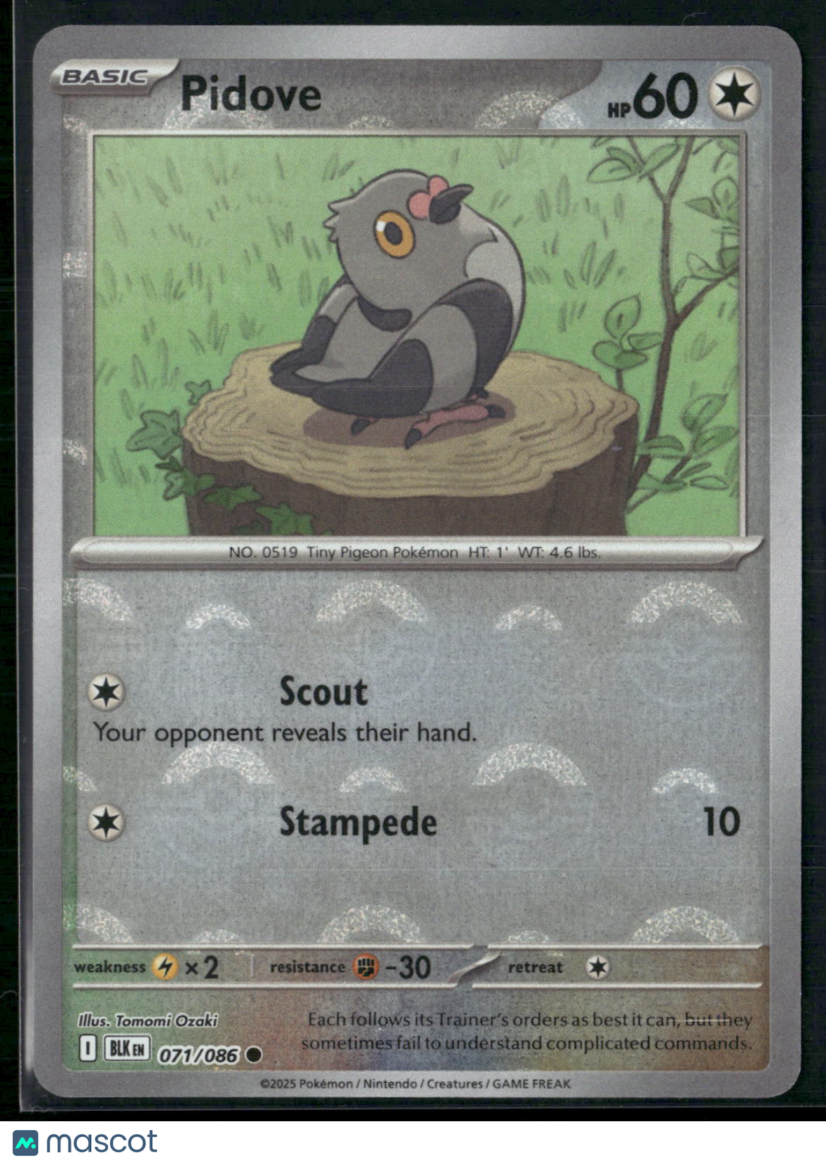 Pidove #71/86 2025 Scarlet & Violet Black Bolt Holo Poke Ball Pattern