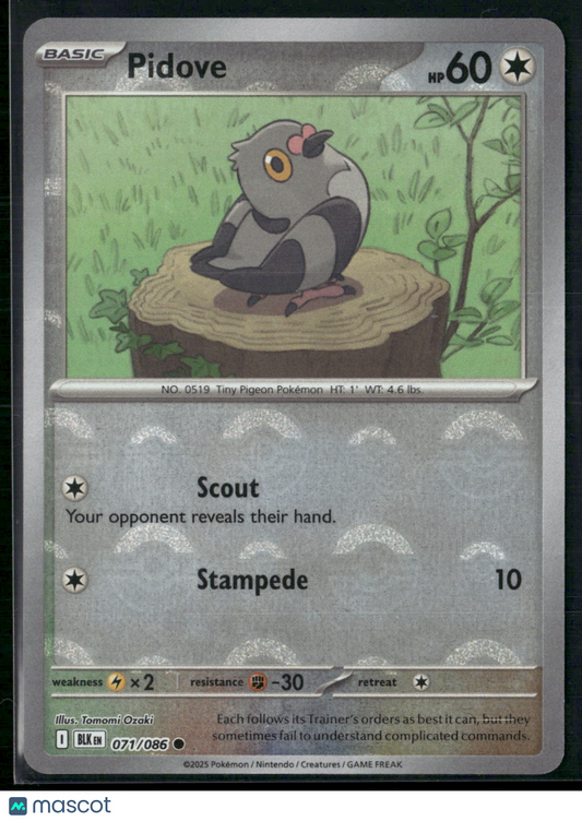 Pidove #71/86 2025 Scarlet & Violet Black Bolt Holo Poke Ball Pattern
