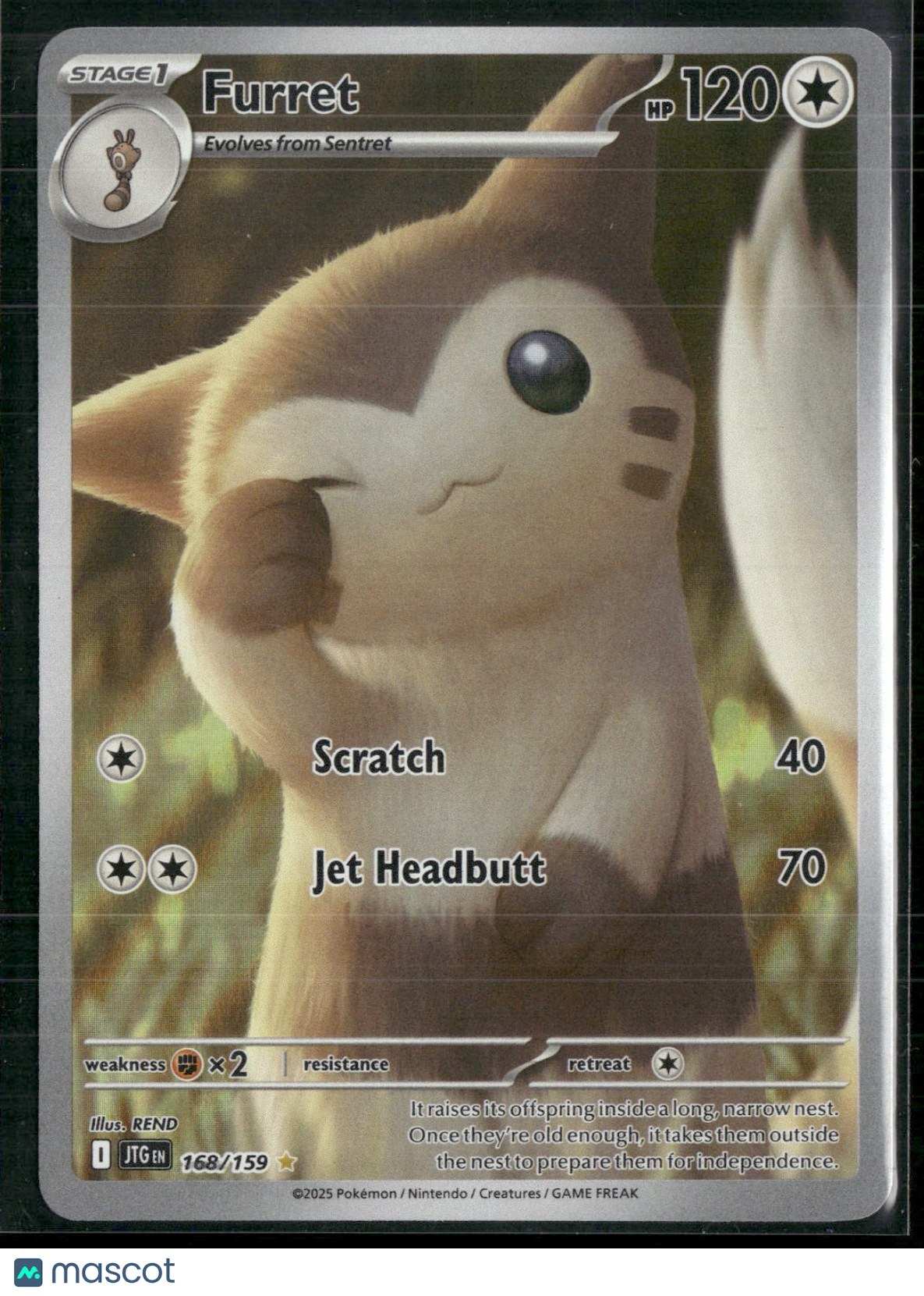 Furret #168/159 2025 Journey Together Holo