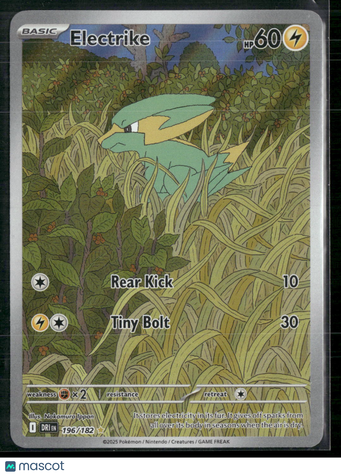Electrike #196/182 2025 Destined Rivals Holo