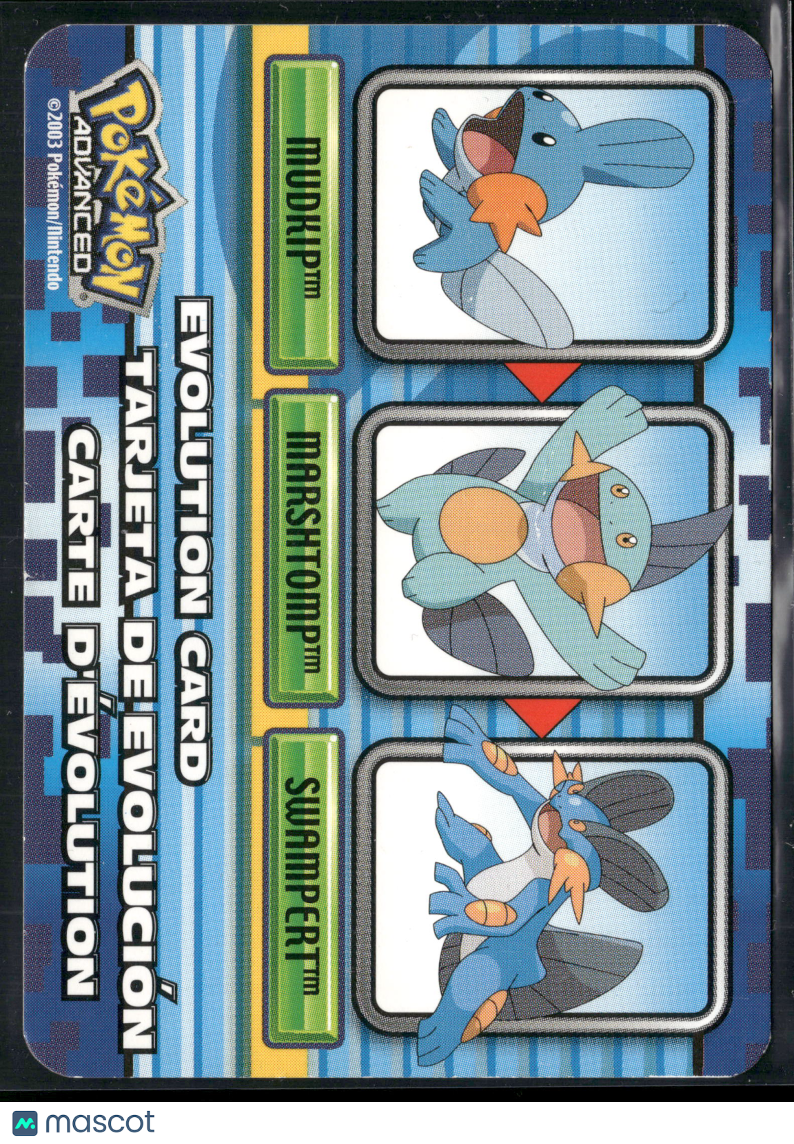 Swampert Mudkip Marshtomp 2003 EX Ruby & Sapphire